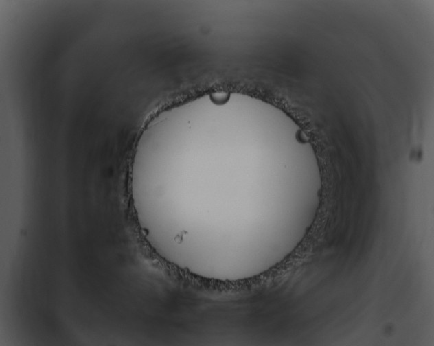 X0000101970144200807180735