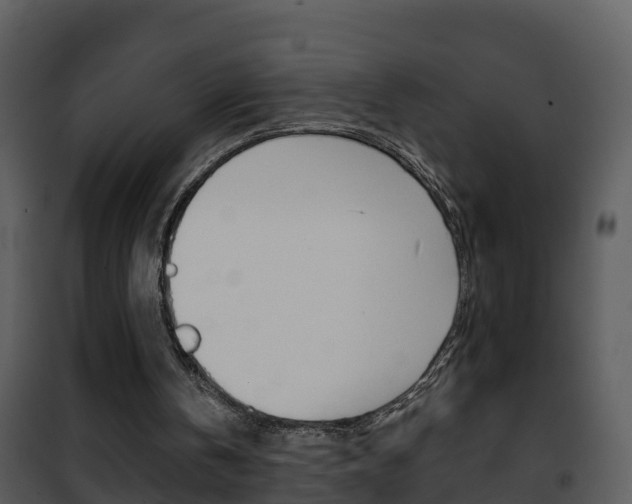 X0000101970146200807180734