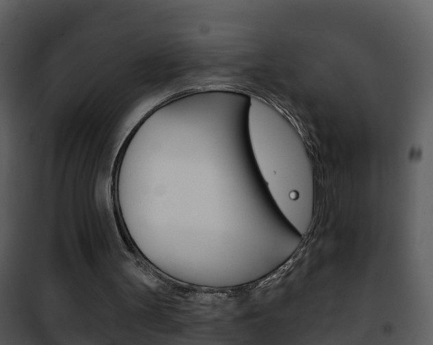 X0000101970147200807180734