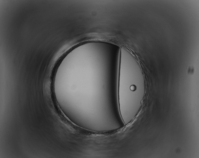 X0000101970150200807180734