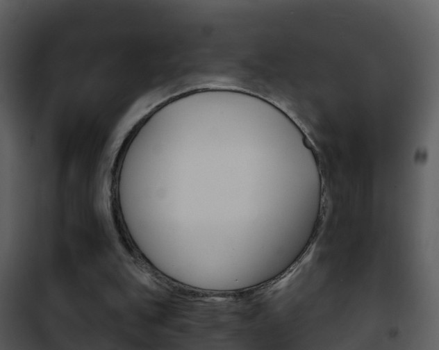 X0000101970151200807180734