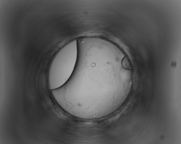 X0000101970153200807180734