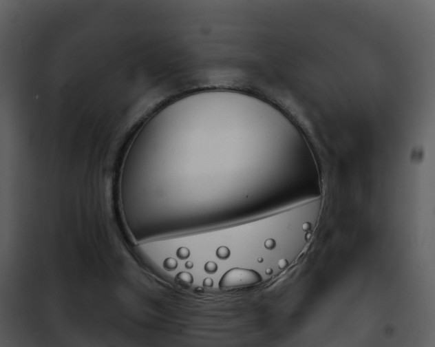 X0000101970154200807180734