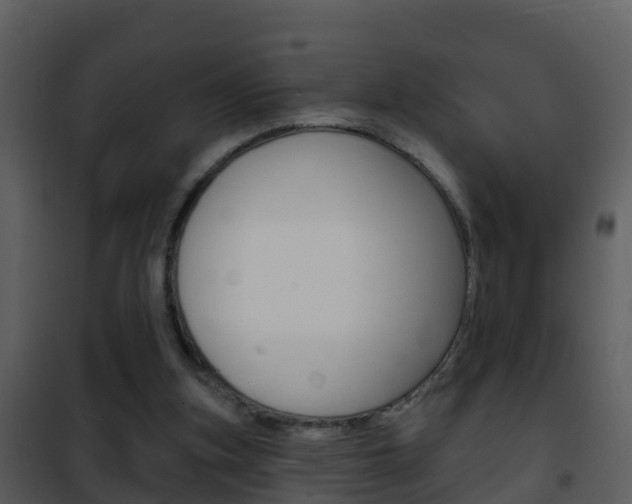X0000101970155200807180734