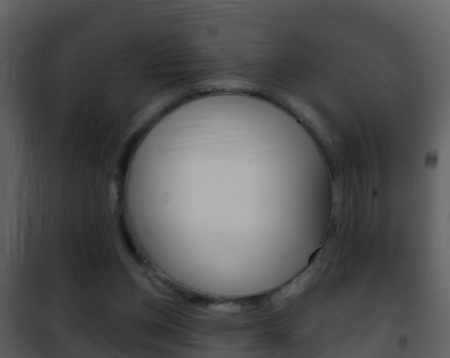 X0000101970158200807180734