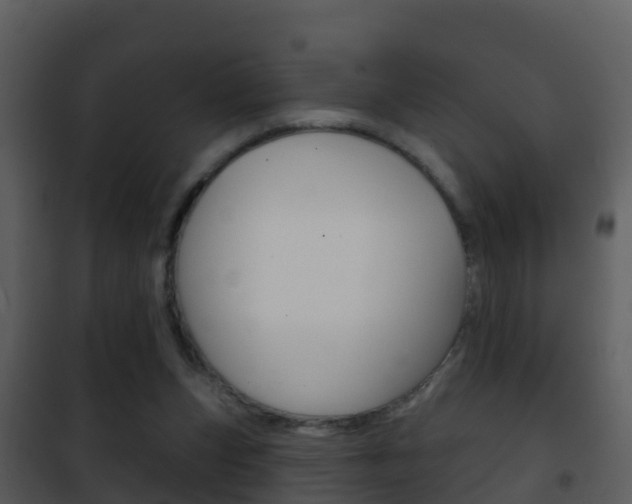 X0000101970159200807180734