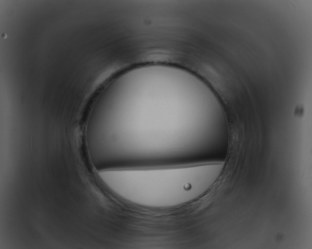 X0000101970160200807180734