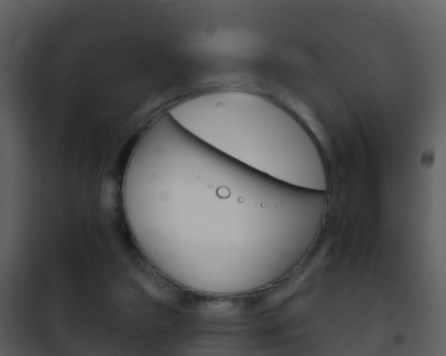 X0000101970161200807180734