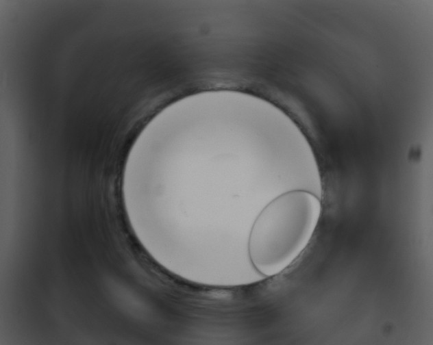 X0000101970162200807180734