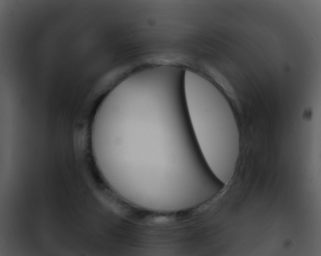 X0000101970163200807180734