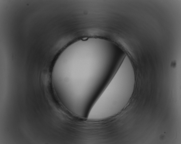 X0000101970164200807180734