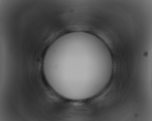 X0000101970165200807180734