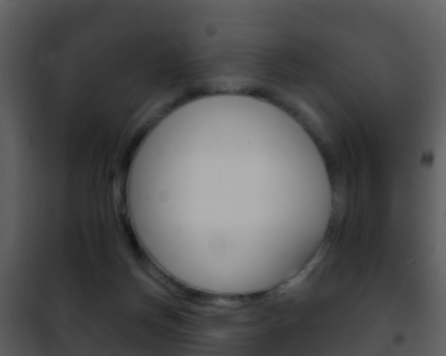 X0000101970166200807180734