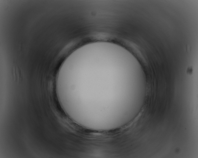 X0000101970167200807180734