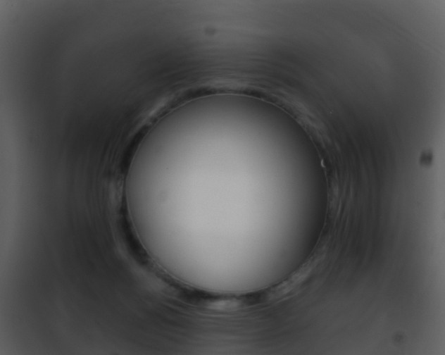 X0000101970168200807180734