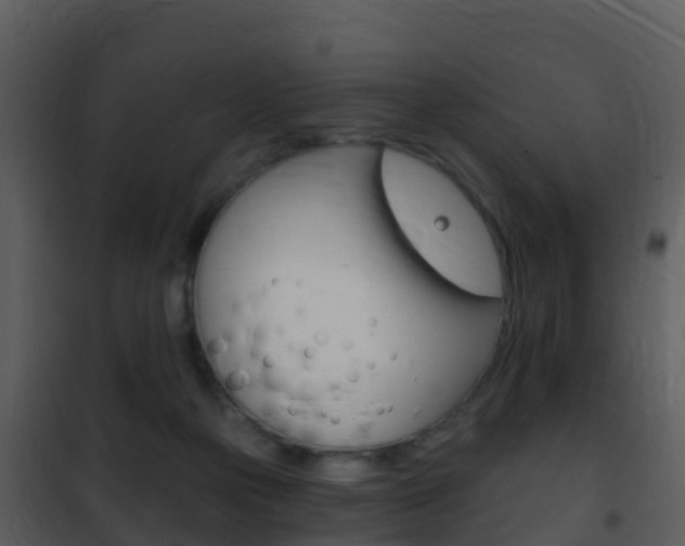 X0000101970169200807180734