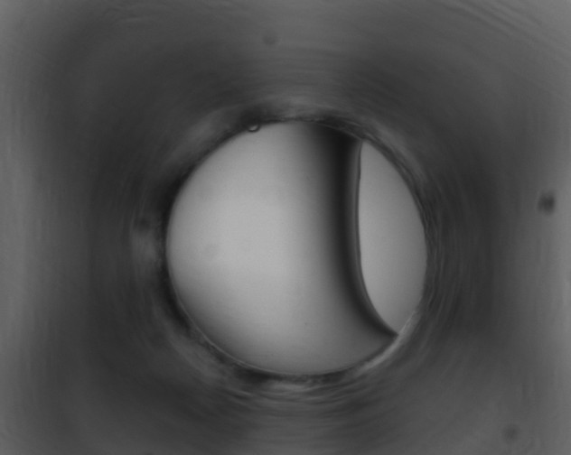 X0000101970170200807180734