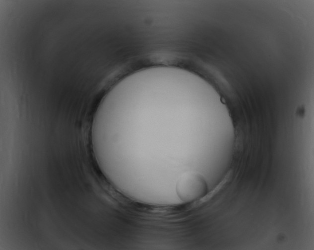 X0000101970171200807180734