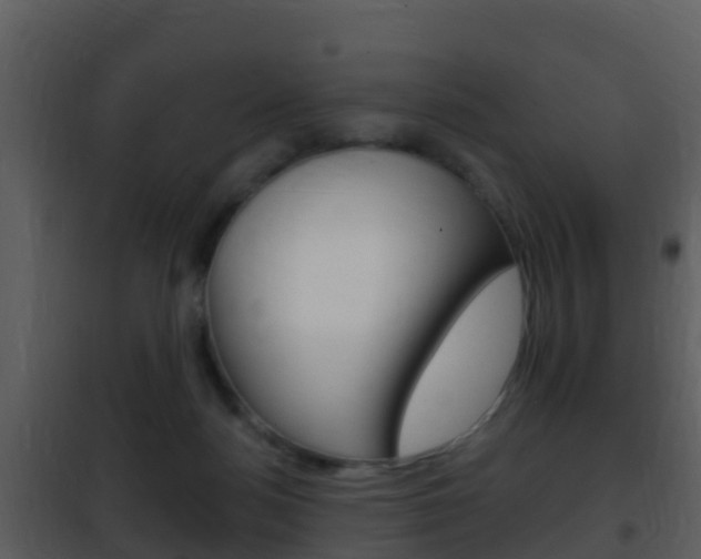 X0000101970172200807180734