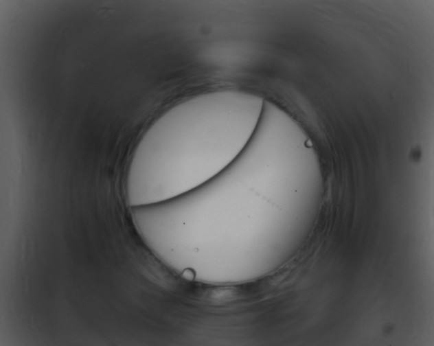 X0000101970173200807180734