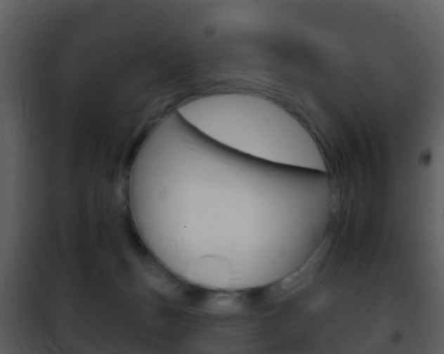 X0000101970175200807180734
