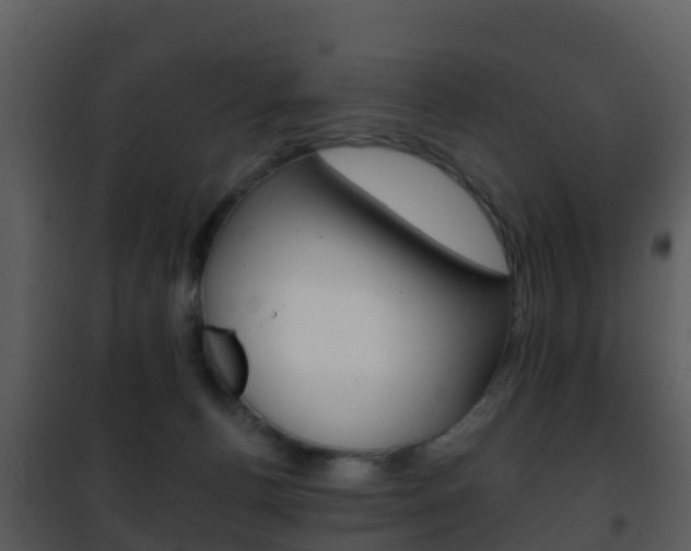 X0000101970176200807180734
