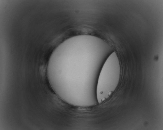 X0000101970177200807180734