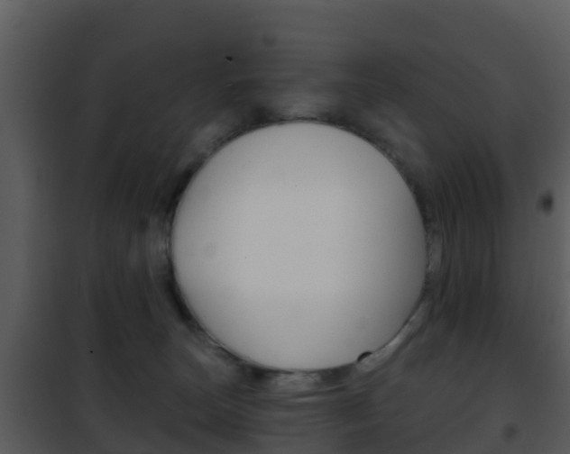 X0000101970179200807180734