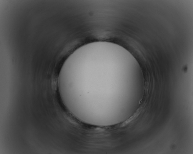 X0000101970180200807180734
