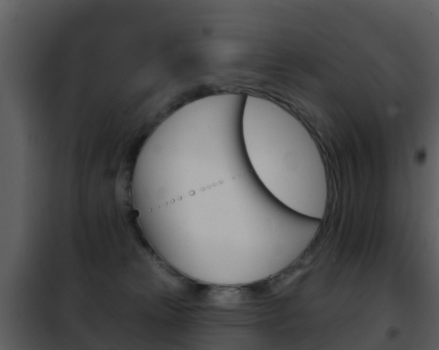 X0000101970181200807180734