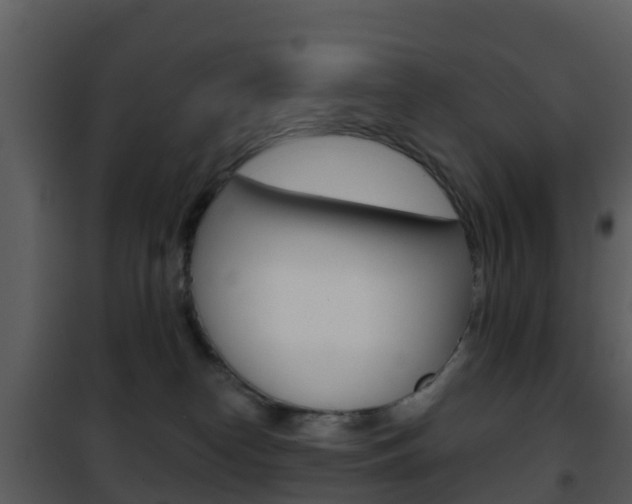 X0000101970182200807180735
