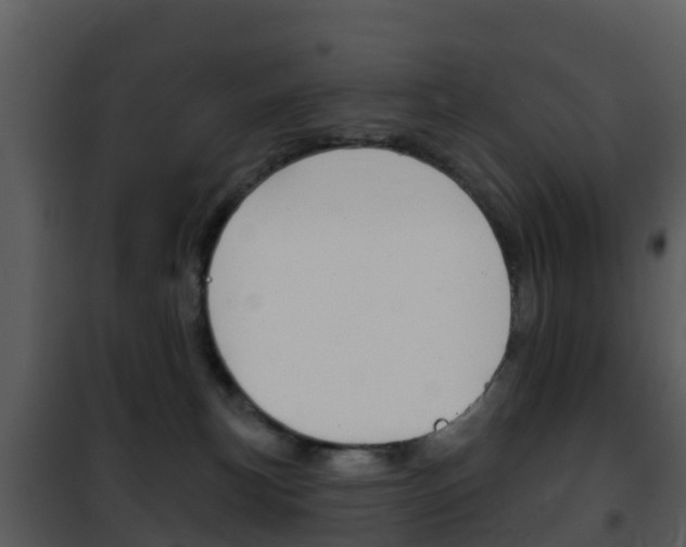 X0000101970183200807180735