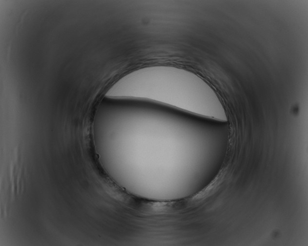X0000101970184200807180735