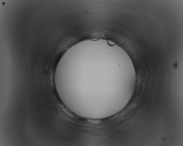X0000101970185200807180735