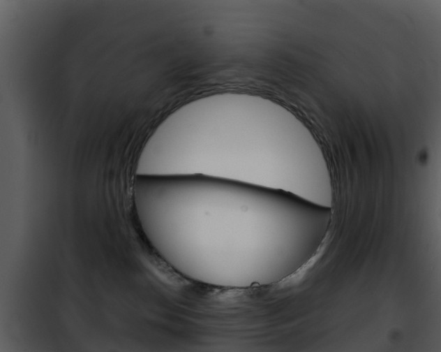 X0000101970186200807180735