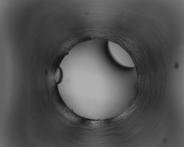 X0000101970188200807180735