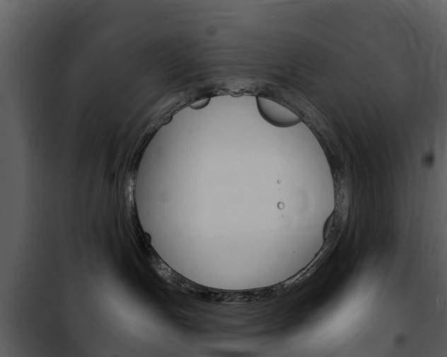 X0000101970191200807180735