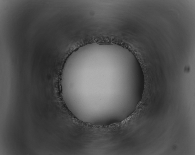 X0000101970192200807180735
