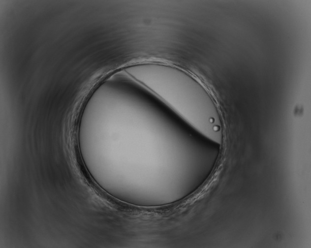 X0000101970193200807180734