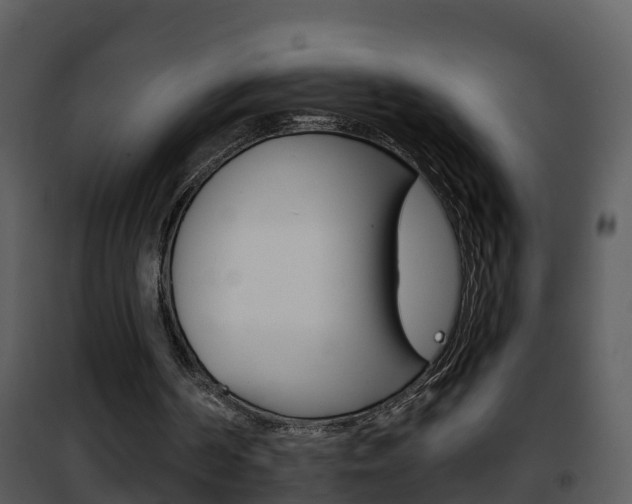 X0000101970194200807180734