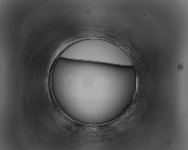 X0000101970195200807180734