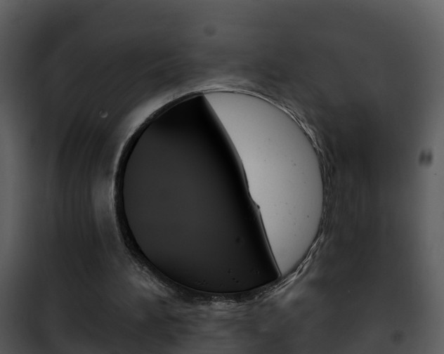 X0000101970196200807180734