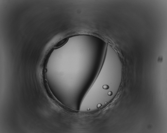 X0000101970197200807180734