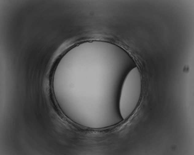X0000101970198200807180734