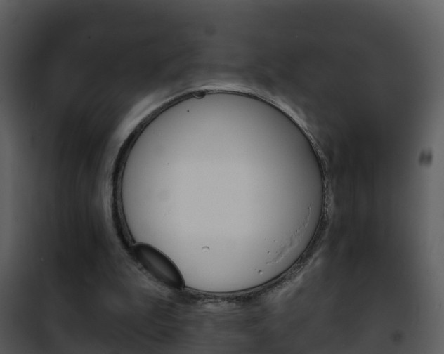 X0000101970199200807180734