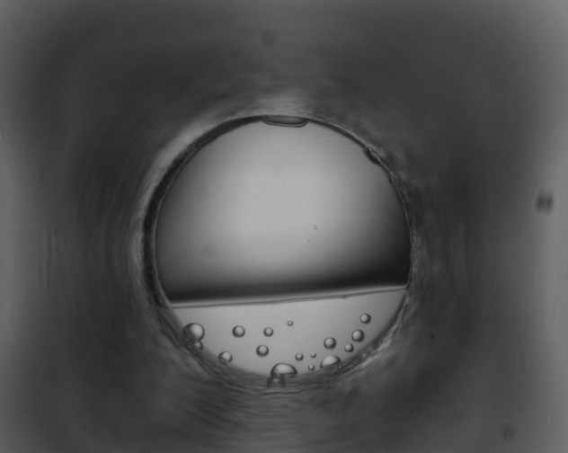 X0000101970200200807180734