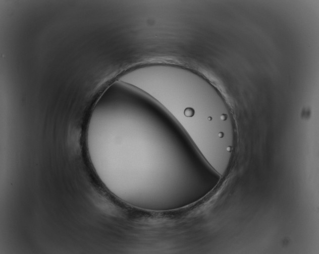 X0000101970201200807180734