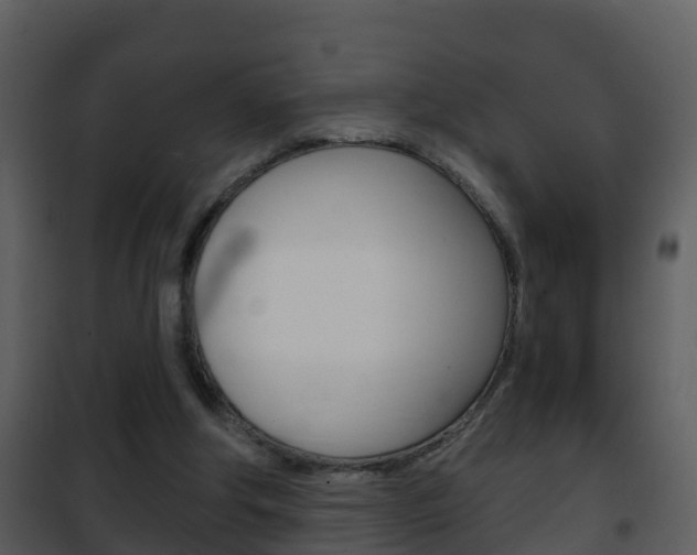 X0000101970202200807180734