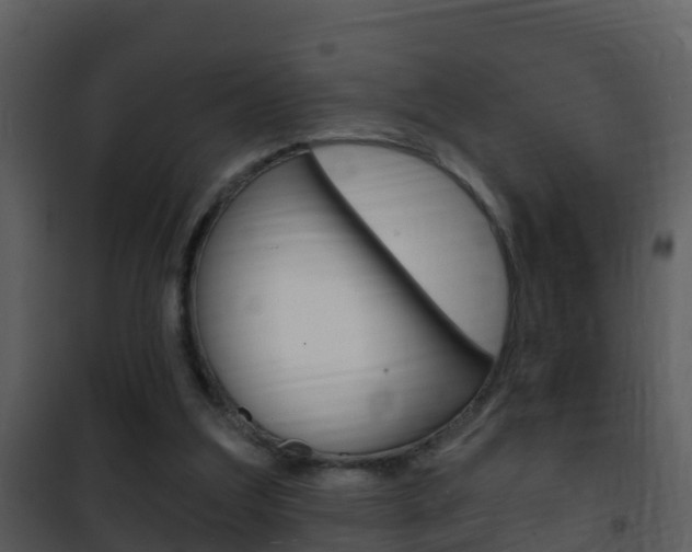 X0000101970203200807180734