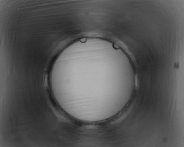 X0000101970205200807180734